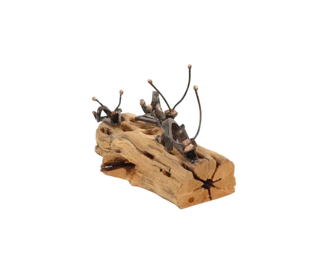 Freestanding snail metal sculpture on a piece of cholla cactus limb, featuring three different size snails with spiraled steel cut nail shells and thin steel antennae with bronze tips.