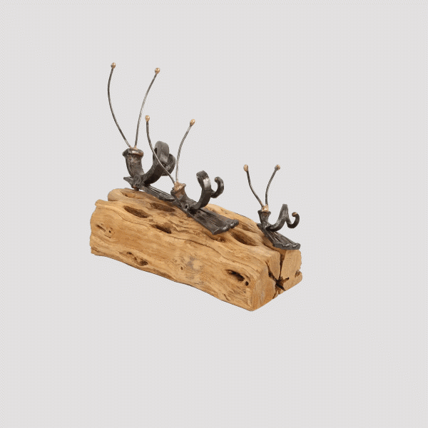 N010S-Snails-on-Cholla-Cactus-Limb (1)